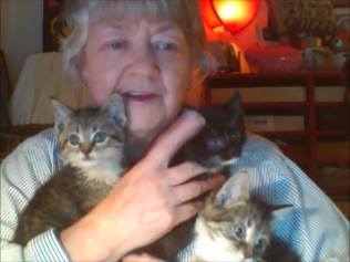Holly, Prince, Gypsy.  Born 9-11-2013