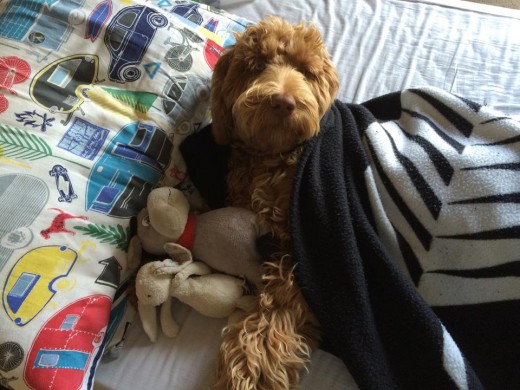 Can I have a bed time story, please?