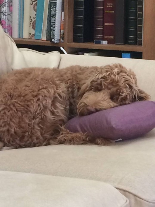 Would you plump up my pillow please?