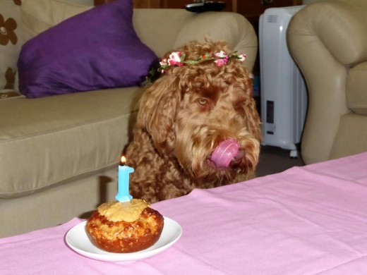 Yummy!