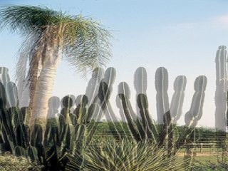 What a 3D polarized image would look like without the glasses.