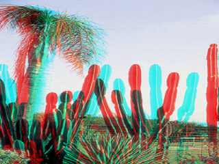 The same polarized image turned into a two color anaglyph