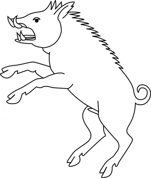A razorback hog.