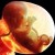 That it replicated in the manner in which light was received and sent, was life once. That they damned my life for having birth, then donating for two births was their fear on their own shame of the vagina, men fell from it then feared it. I didn't. That it replicated in the manner in which light was received and sent, was life once. That they damned my life for having birth, then donating for two births was their fear on their own shame of the vagina, men fell from it then feared it. I didn't.