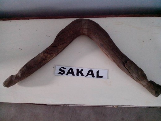 Sakal or Carabao's Neck Wood Controller (Photo Source: Ireno Alcala)