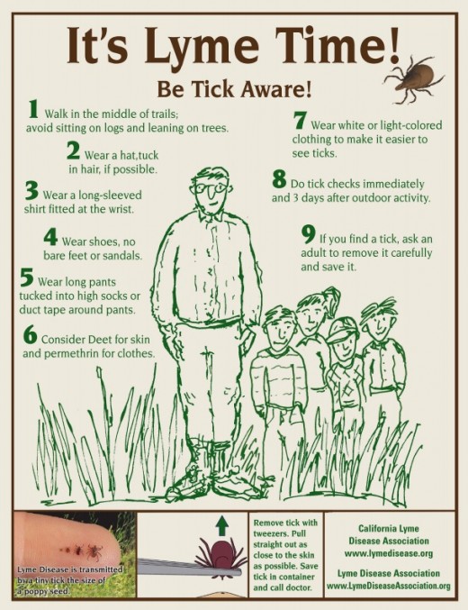 Lyme Disease Association 