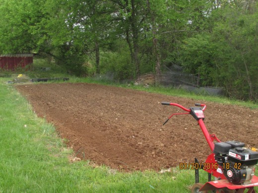 This is what my garden looked like this year after after a roto-tilling. This process for me takes a couple of weeks because the looser the soil is the easier it is to rake into rows and allow plants to spread their roots.