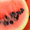 Health Benefits of Watermelon Seeds