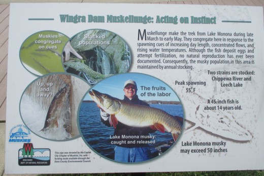 The sign by Wingra Dam