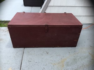Chest - Before