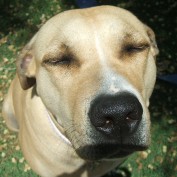 bostyn profile image