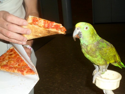 Next time, we get peanuts and sunflower seeds on the pizza. - Photo by George Sommers 