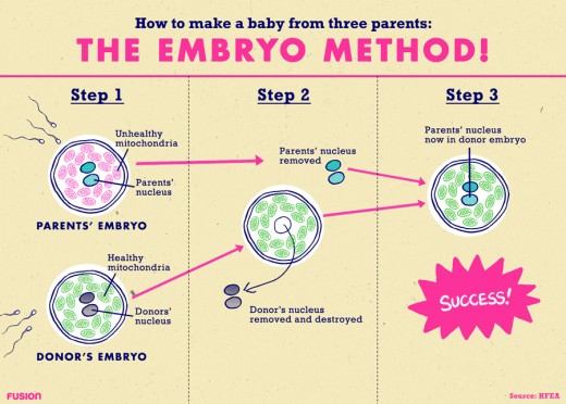 Both eggs are fertilized in vitro, then the nucleus from the parents' fertilized embyro is removed and replaces the donor embryo's nucleus leaving healthy mitochondrial DNA with the parent's nuclear DNA.