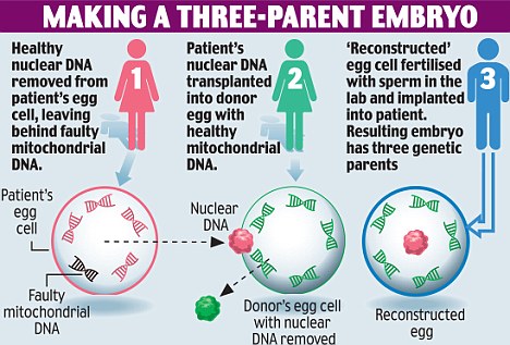 The more common and less complicated technique of replacing mitochondrial DNA.