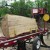 Portable sawmill...(noisy in forest) Portable sawmill...(noisy in forest)