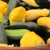 Abundance Of Squash, Recipes For Using Them!