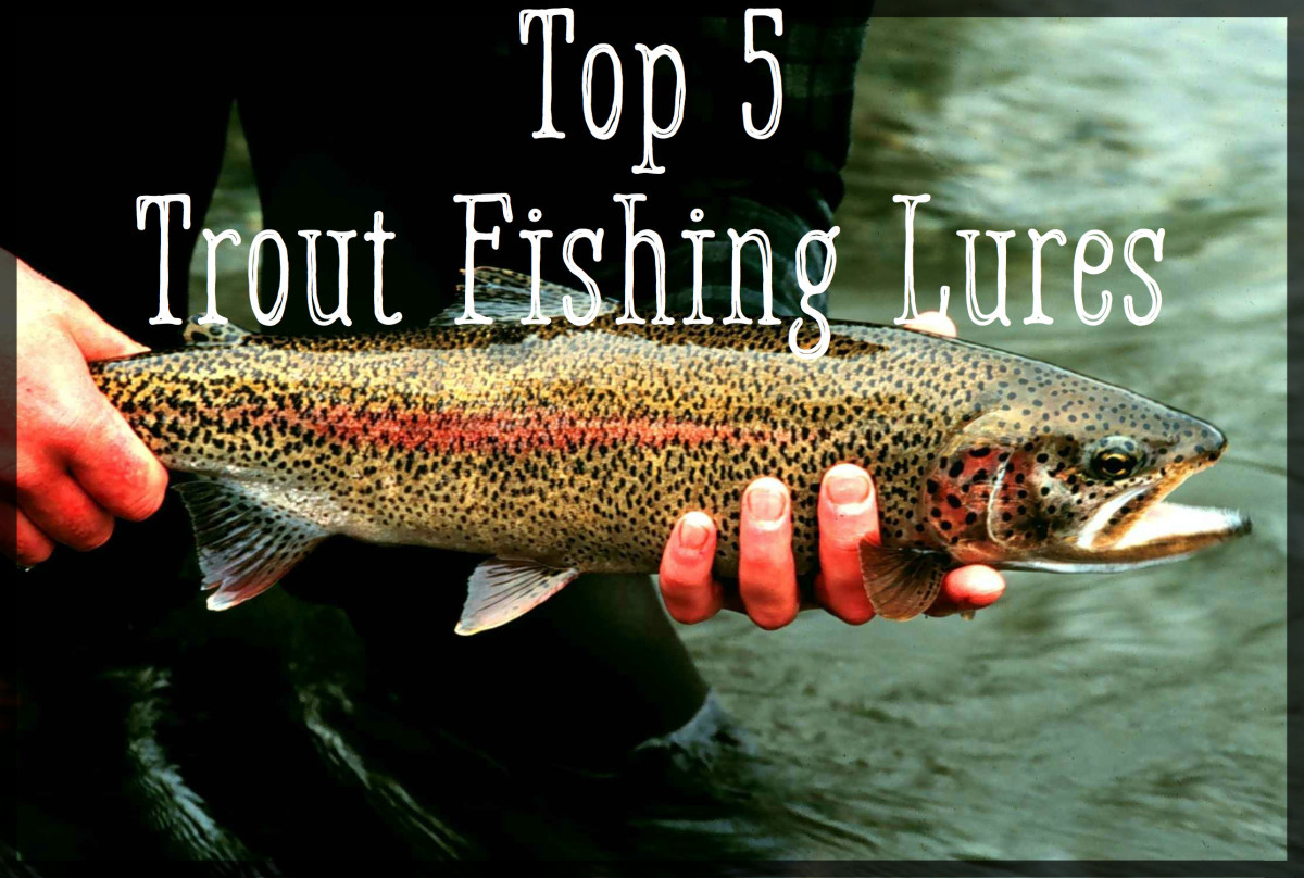 Top 5 Best Trout Lures