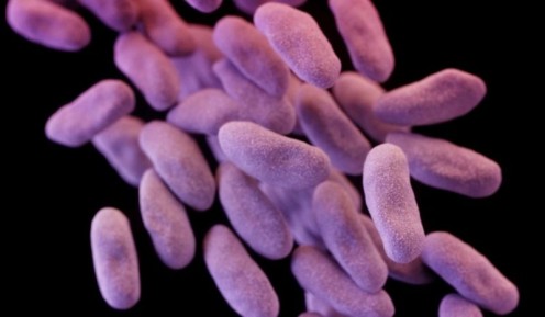 Super Bug - Phantom Menace - Nightmare Bacteria