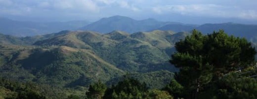 The Sierra Madre Mountain raneg in Luzon has a rich biodiversity in the world