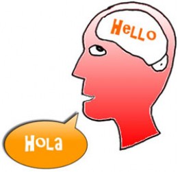https://usercontent1.hubstatic.com/13037630_f260.jpg