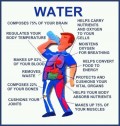 7 Foods that Hydrate the Body