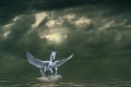 The Flight of the Horse ~ a Poem of Mythical Proportions