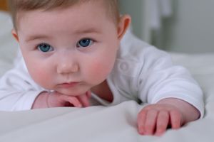 I'm trying to crawl