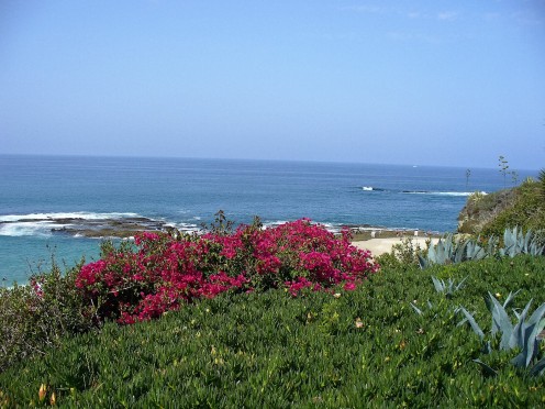 This is a good place for me to go and think.  This is Laguna Beach in California.  Where my parents are moving to, though not on the beach!  I will miss them, and wish I could go here to sort through all my thoughts. A calming, wonderful place. 