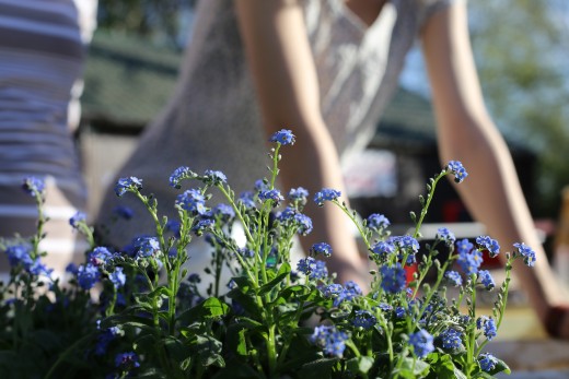 A green landscaping business beautifies homes with less damage to the environment.