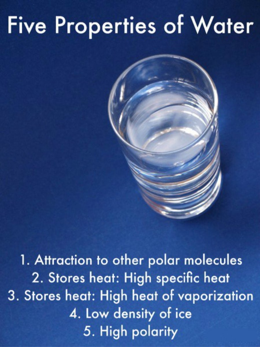 What are characteristics of a polar molecule?
