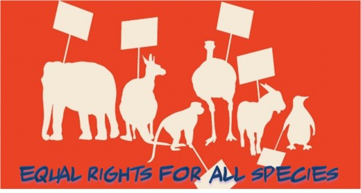 The animal rights controversy | hubpages