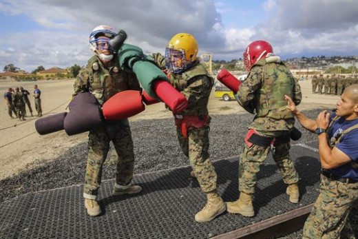 Pugil stick training