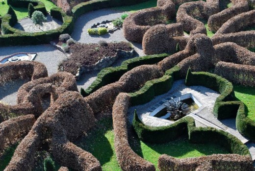 Moon Garden