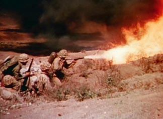 Flamethrowers were used extensively by Marines throughout the Pacific's "Island Hopping Campaign" to neutralize Japanese fortified defensive positions.
