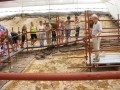 Visit the West Coast Fossil Park South Africa
