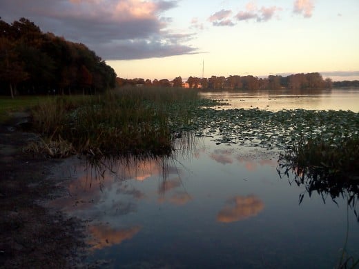 Sunset Lake Orlando 2011