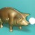 Brass Pig Brass Pig