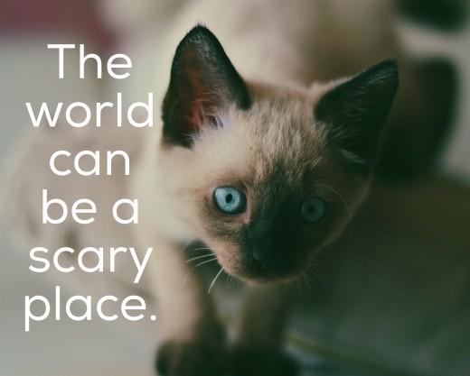 Don't be scare of the unknown.