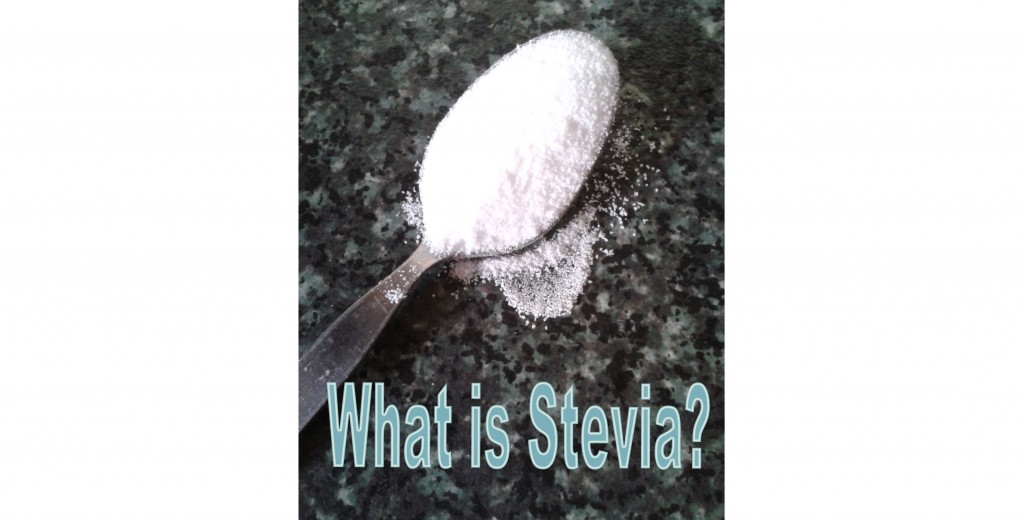 What is Stevia? a Natural Herbal Alternative to Saccharine and