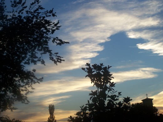 Music comes from all people and is born of their culture...