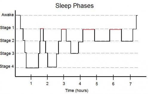 Sleep Phases