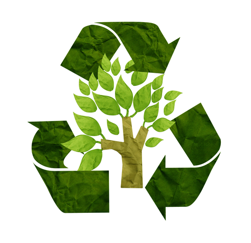 Going green essay