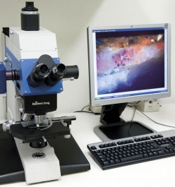 Optical Microscopy, Electron Microscopy, XRD and XRF
