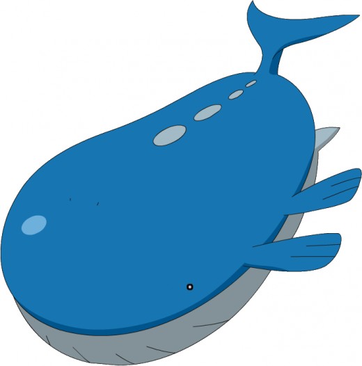 Wailord 14.5m