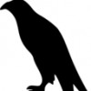 Nar profile image