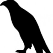Nar profile image