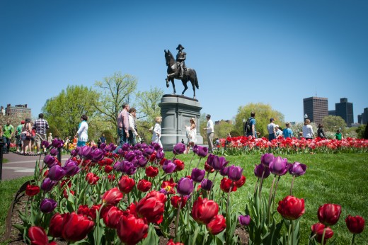 Boston Common in spring