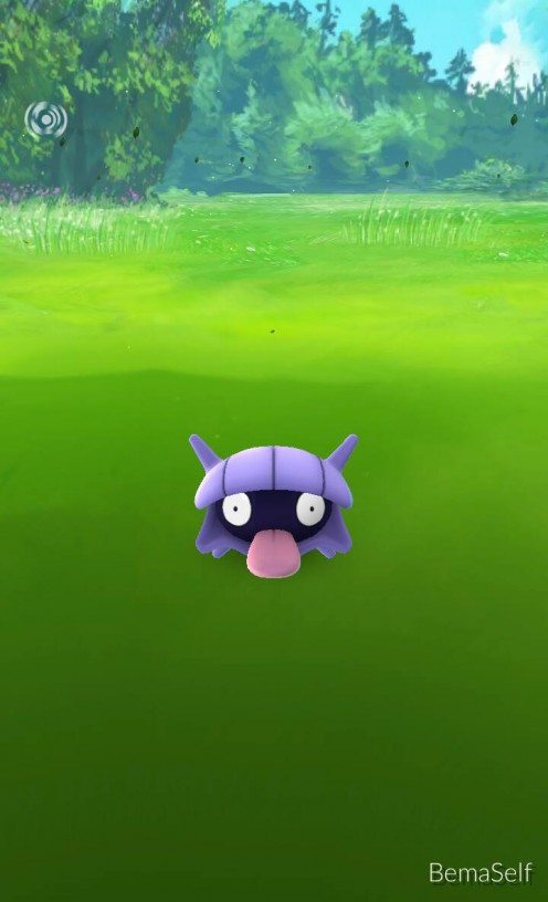 A "Shelldor" Pokemon I caught one night by my house.