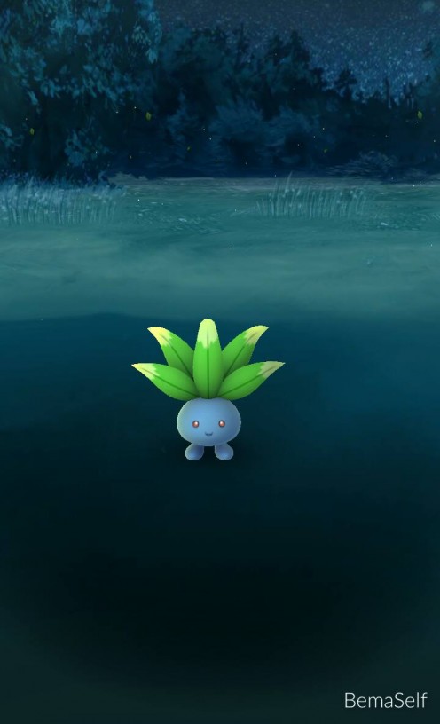 Screenshot of one of the cutest Pokemon I caught in my first week; Oddish!
