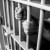 Life Without Parole - Do These People Really Deserve It?